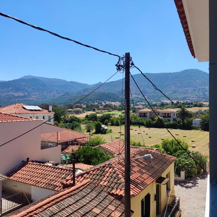 Hotel Ilion ペトラ エクステリア 写真
